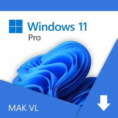 Windows 11 Pro
